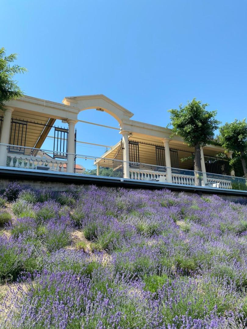 La Gioconda Boutique Hotel Odesa Exterior photo